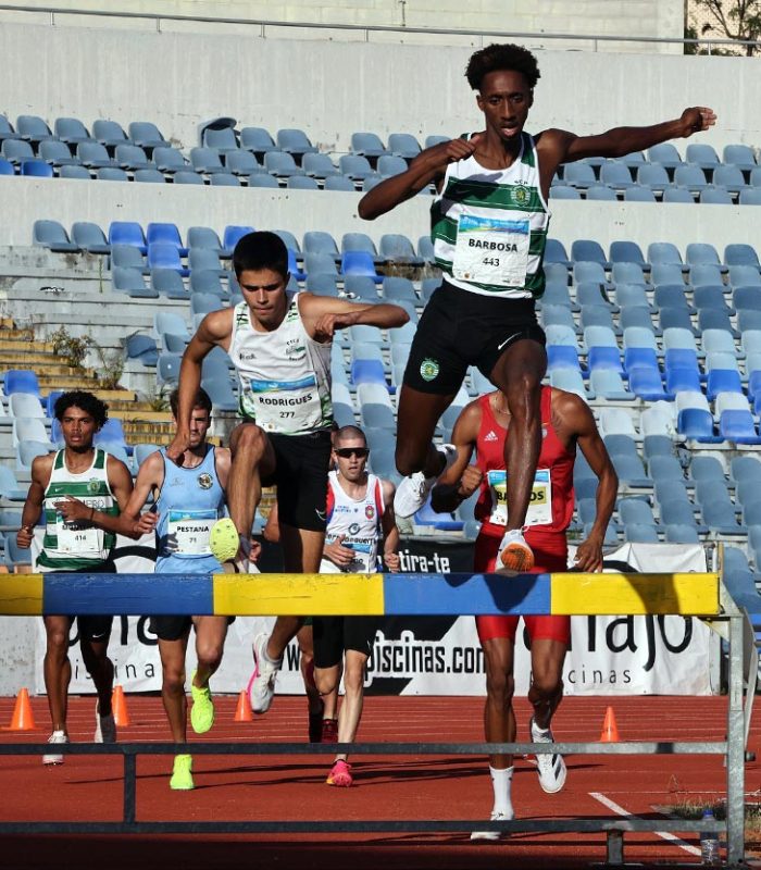 5-lourenco-rodrigues