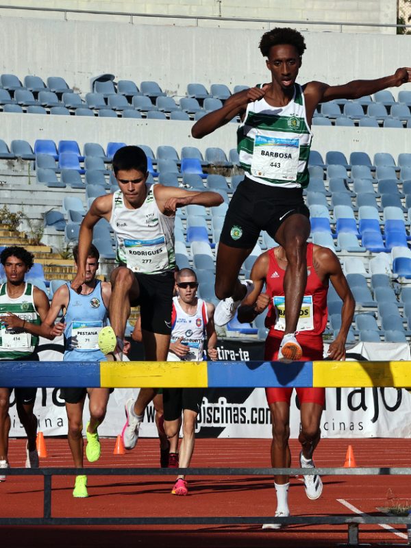 Lourenço Rodrigues - 4