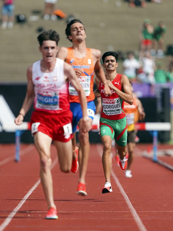 Lourenço Rodrigues - 8